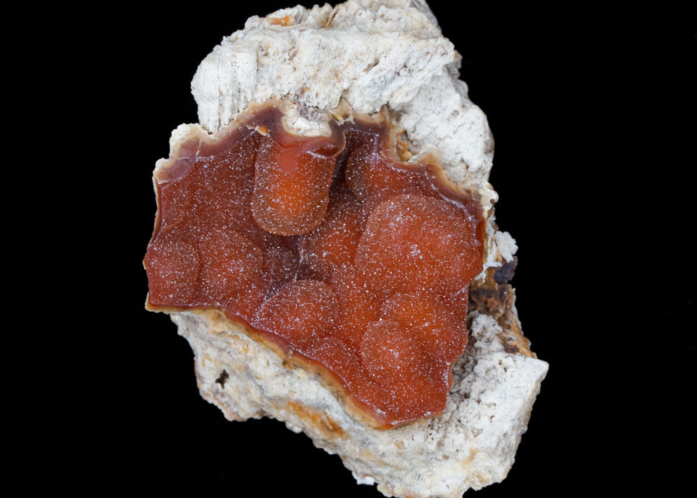 Specimens