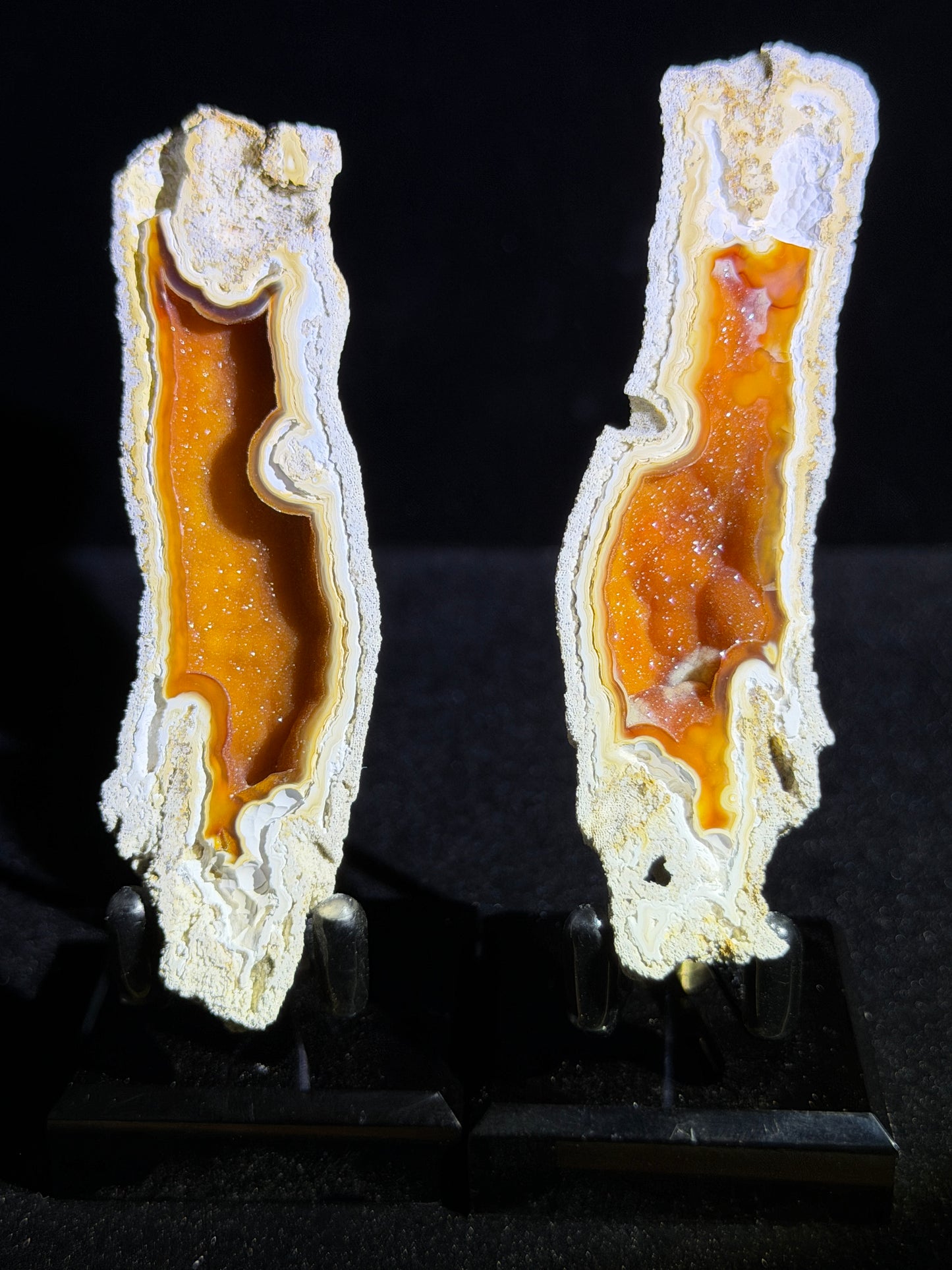 Polished Coral Geode Pair