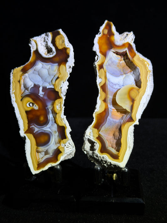 Polished Coral Geode Pair