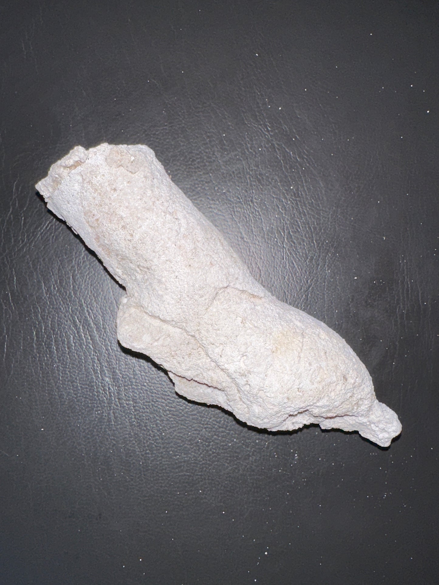 @charger1969e (3 claimed pieces)