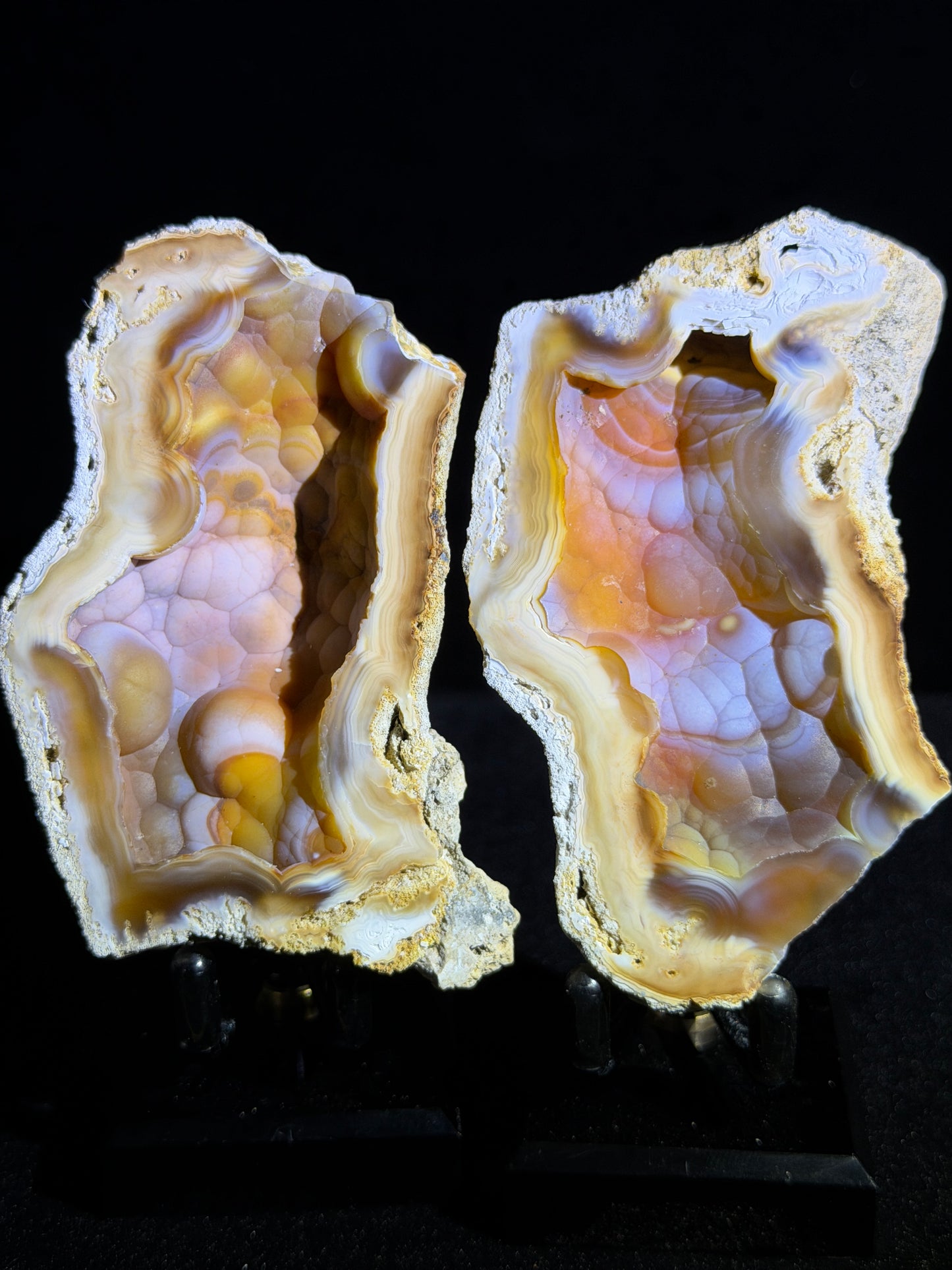 Polished Coral Geode Pair