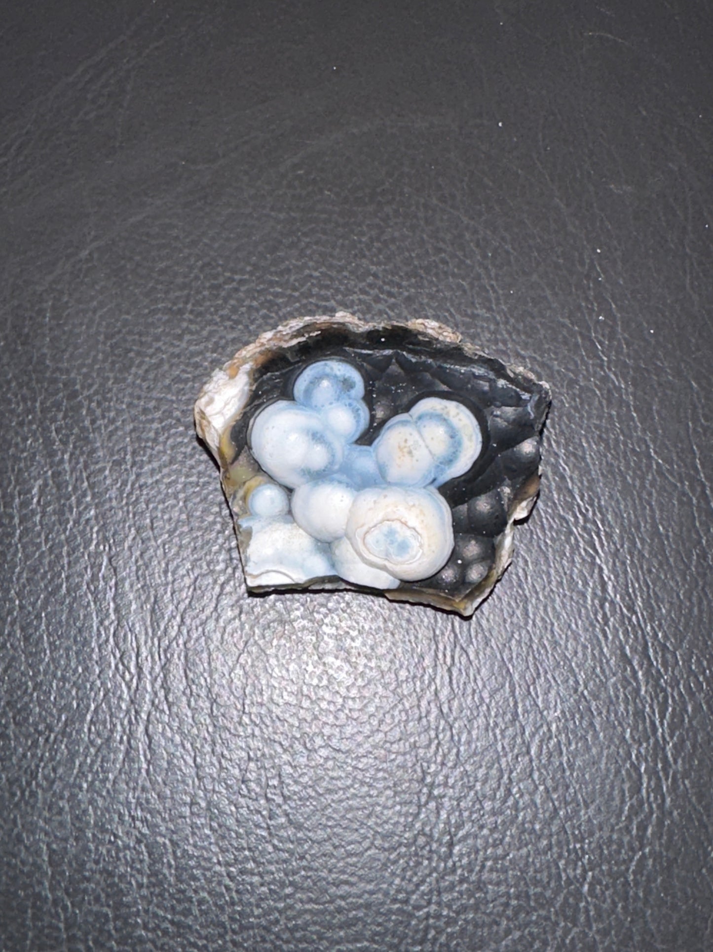 @janfitc (5 claimed pieces)