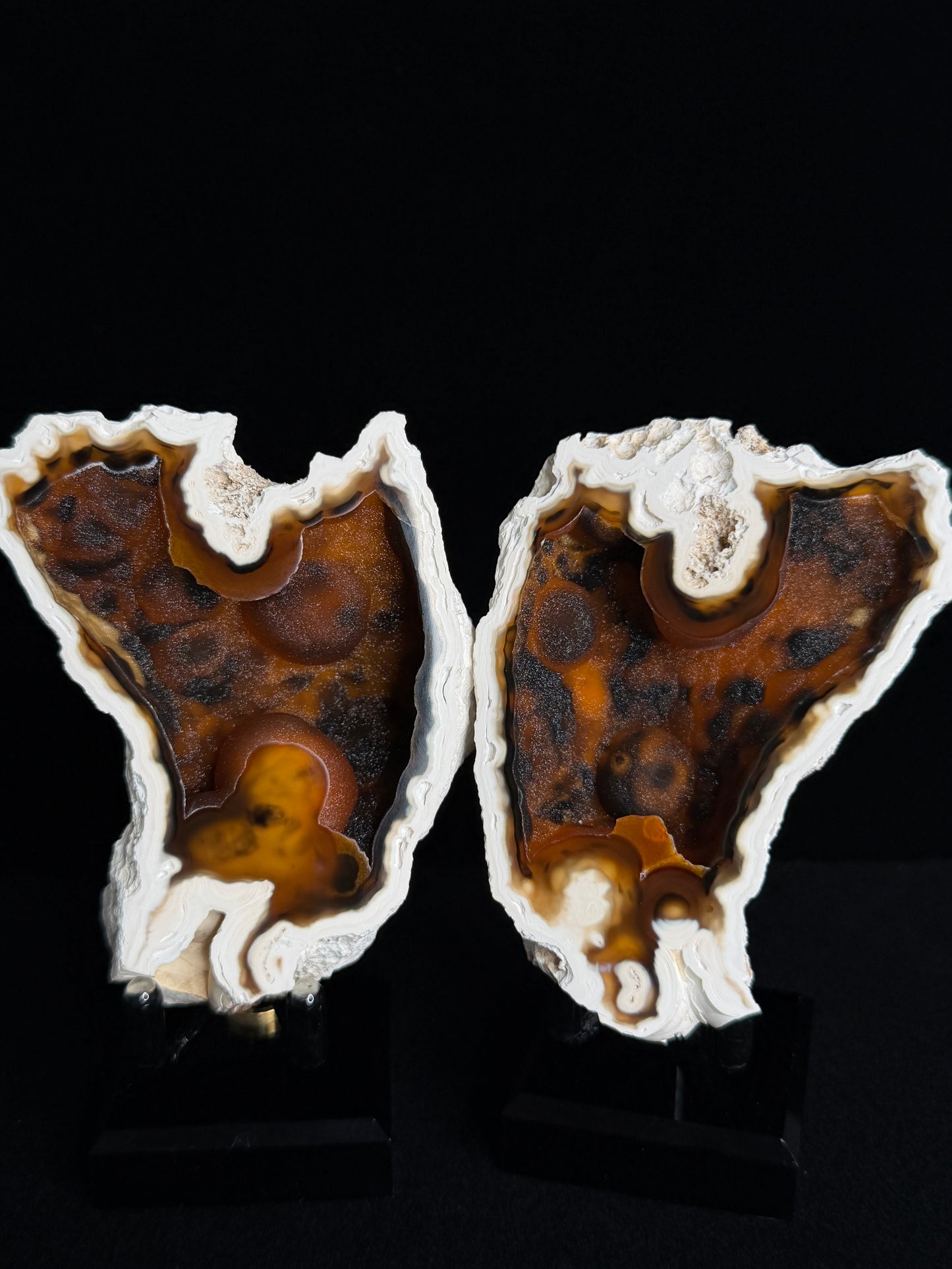 Polished Coral Geode Pair