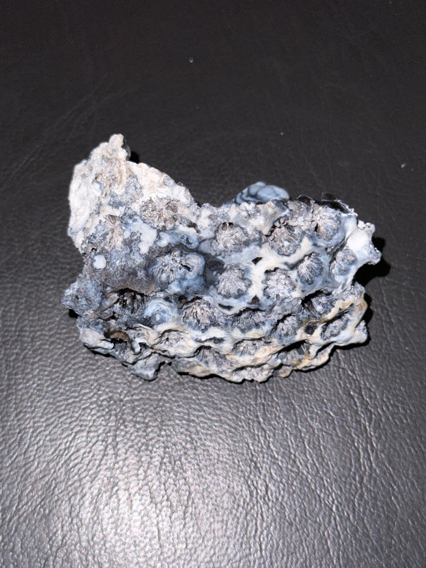 @janfitc (5 claimed pieces)