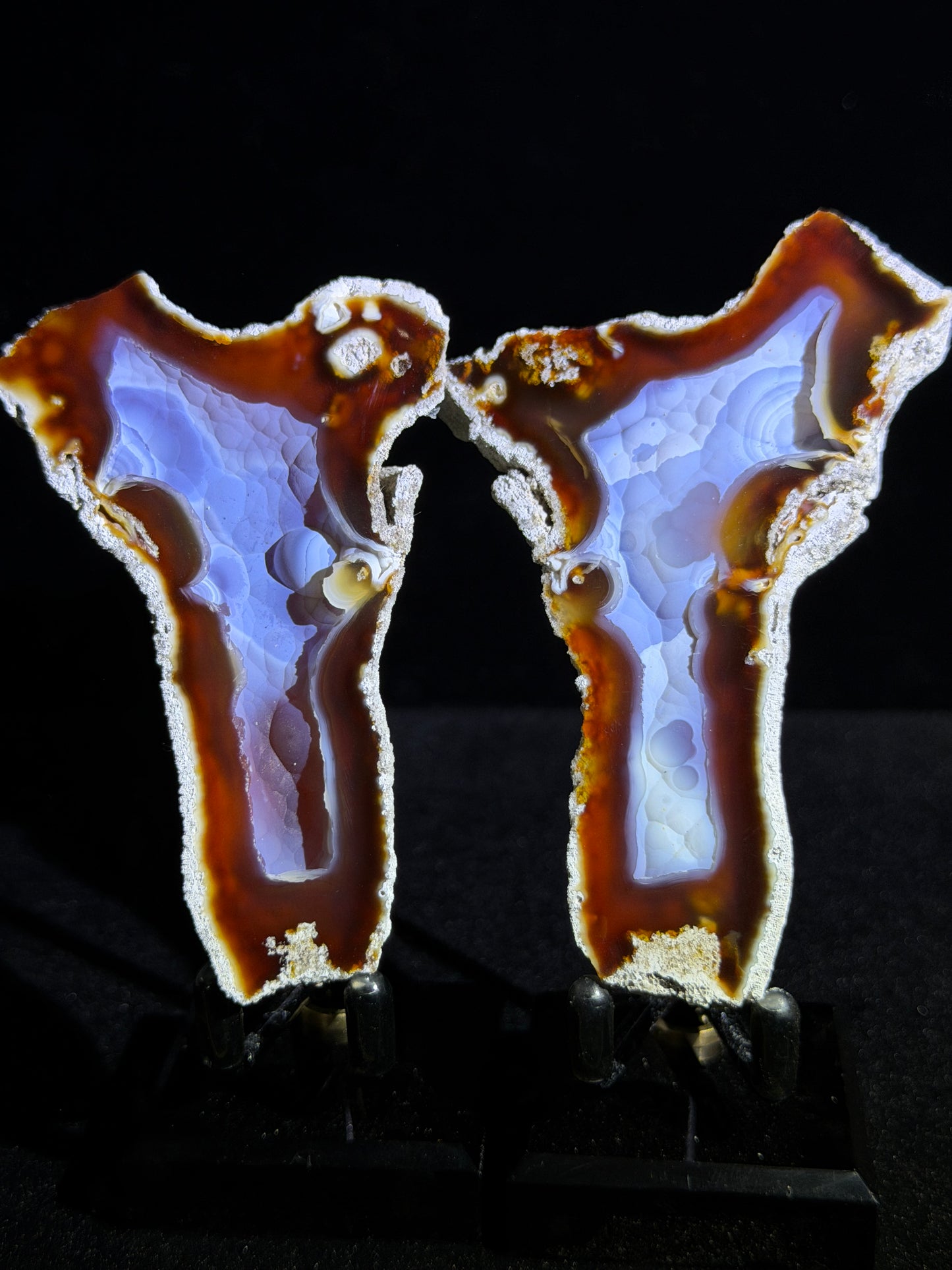 Polished Coral Geode Pair