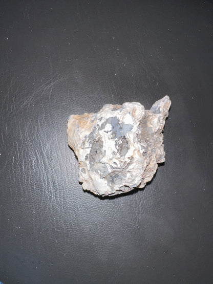 @ashleighmeghan (2 claimed pieces)