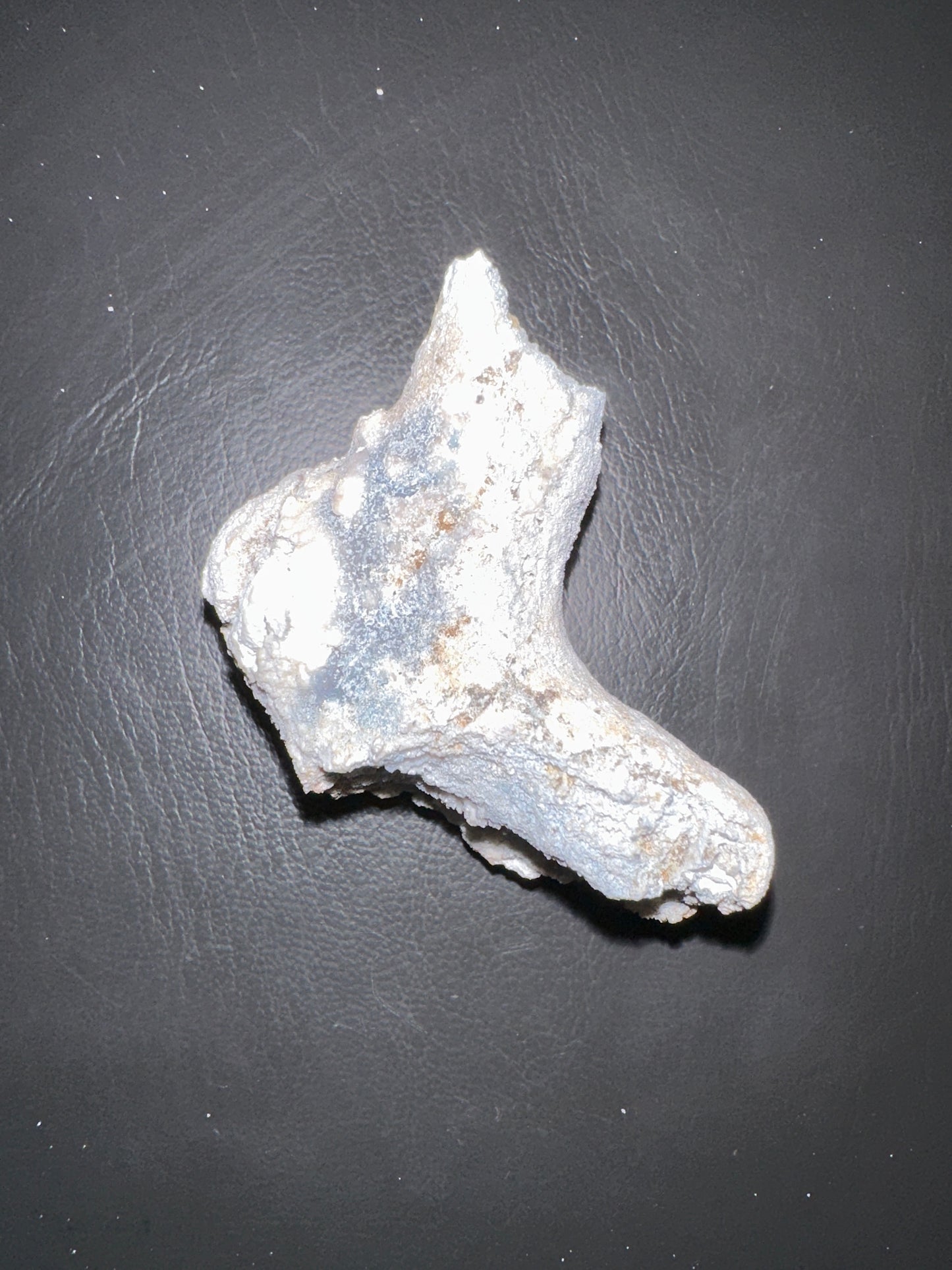 @ashleighmeghan (2 claimed pieces)