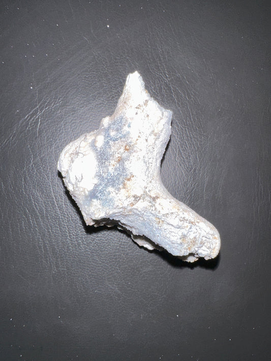 @ashleighmeghan (2 claimed pieces)