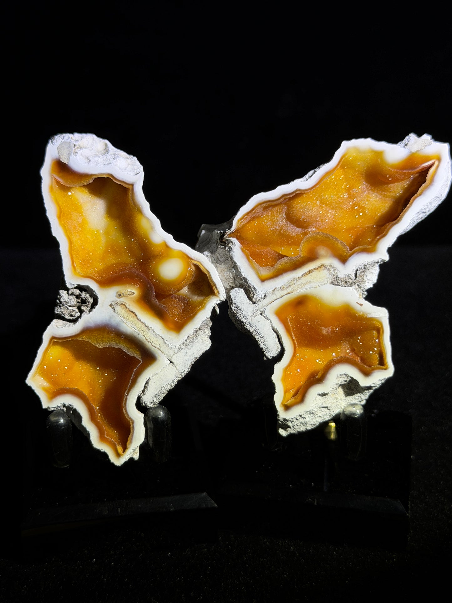 Polished Coral Geode Pair