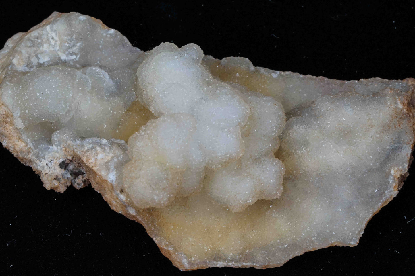 Coral Geode/Fossil with Crystals