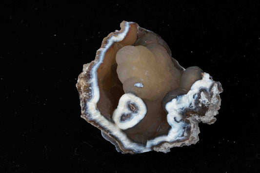 Coral Geode/Fossil