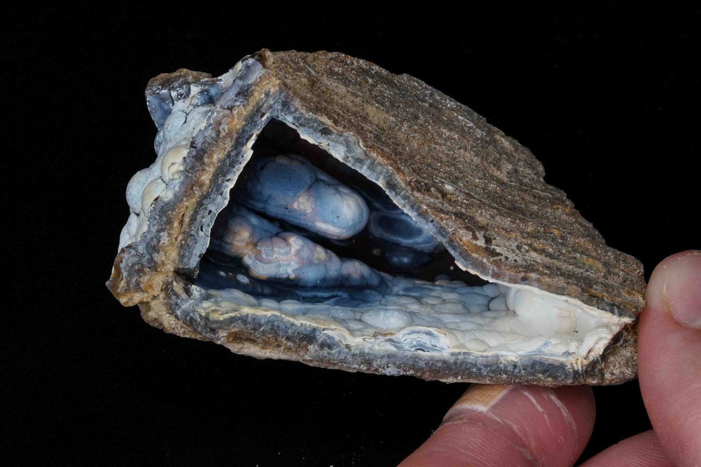 Coral Geode/Fossil