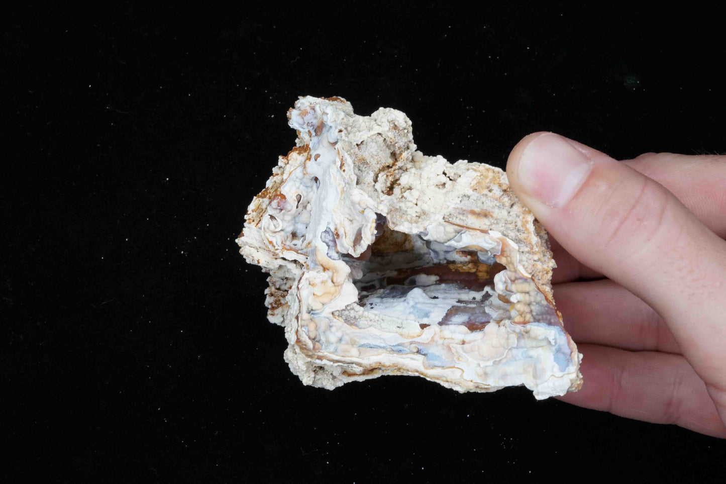 Coral Geode/Fossil