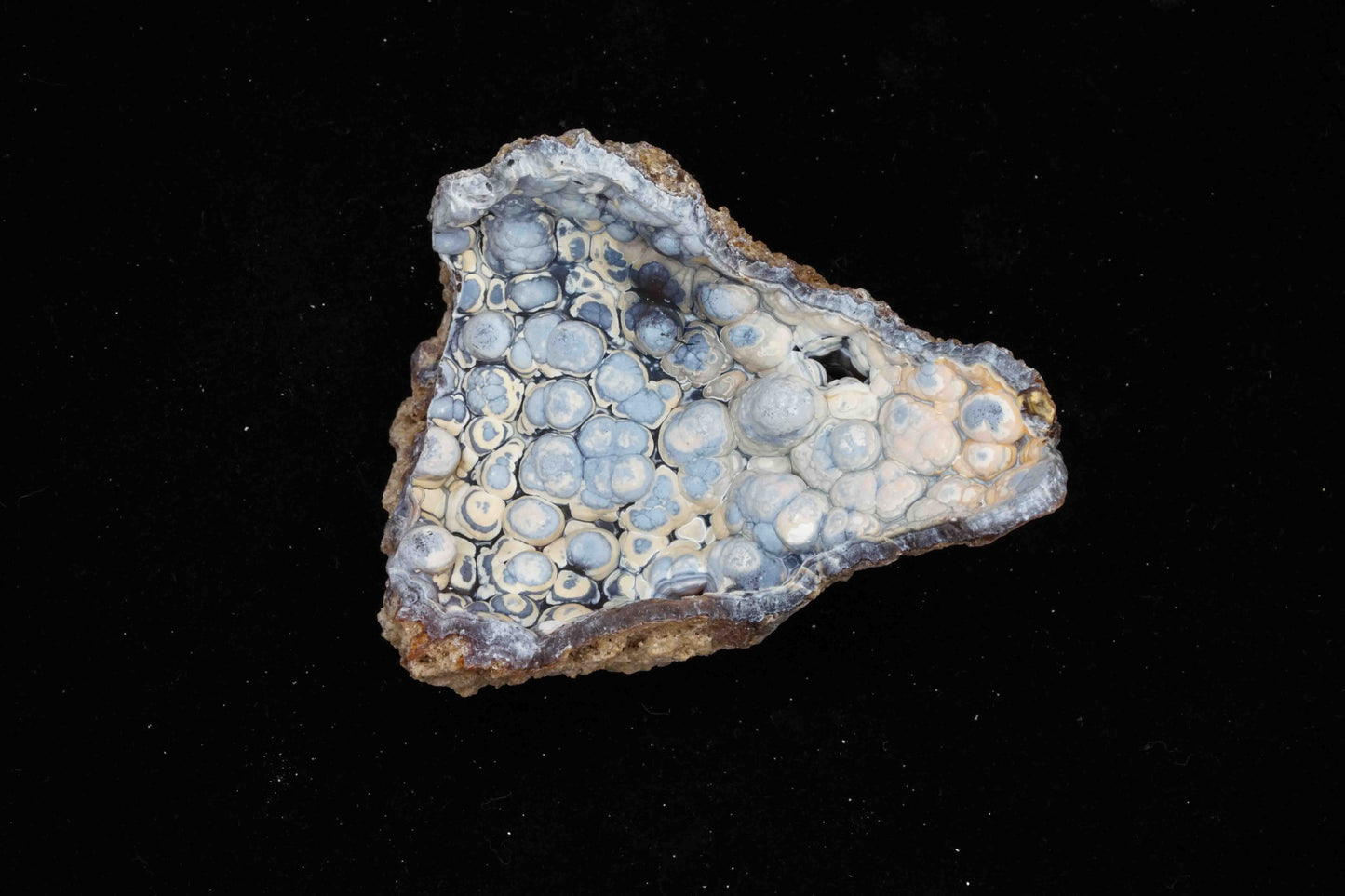 Coral Geode/Fossil