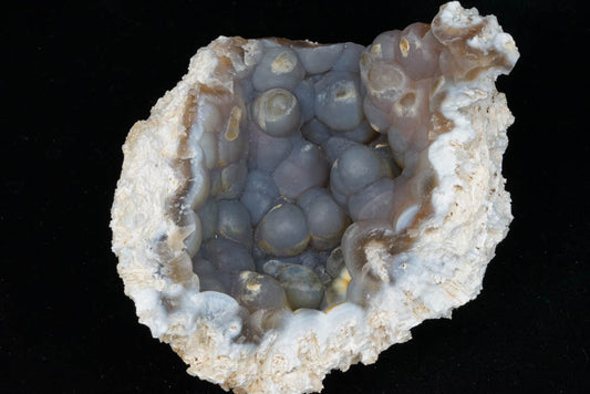 Coral Geode/Fossil