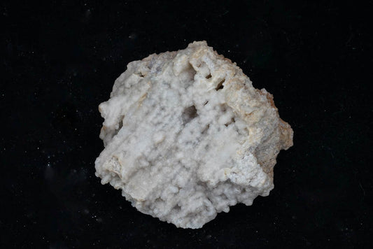 Coral Geode/Fossil with Crystals