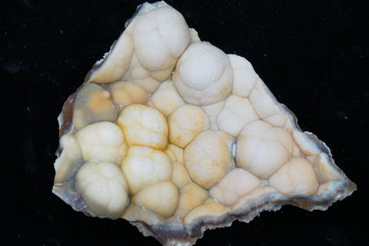 Coral Geode/Fossil