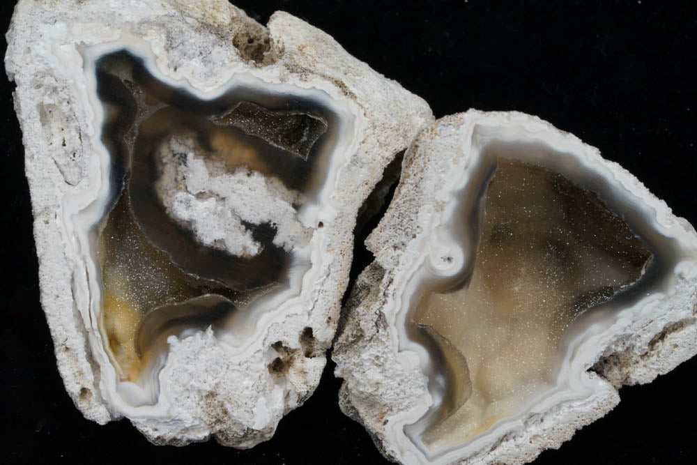 Polished Coral Geode/Fossil pair with Crystals