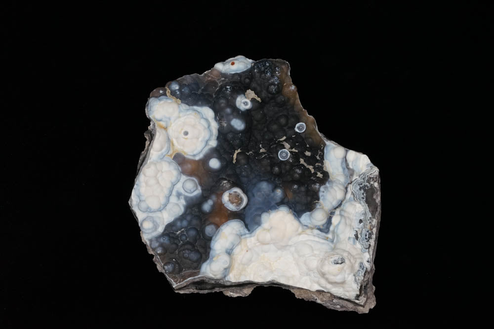 Coral Geode/Fossil