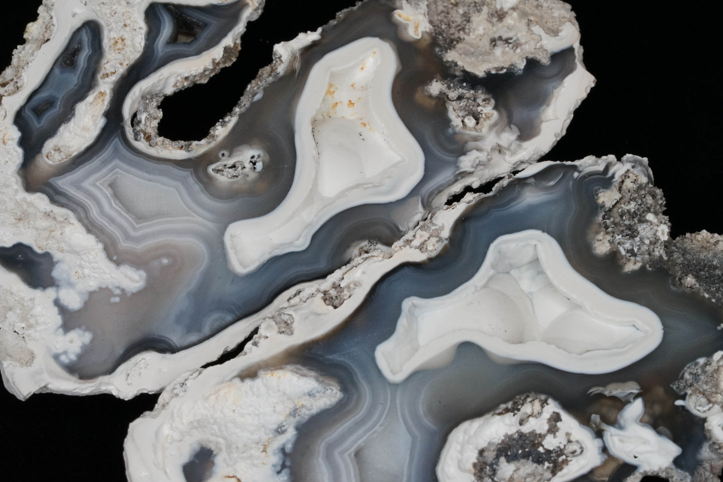 Polished Coral Geode/Fossil Pair with Crystals