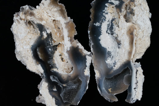 Polished Coral Geode/Fossil Pair with Crystals