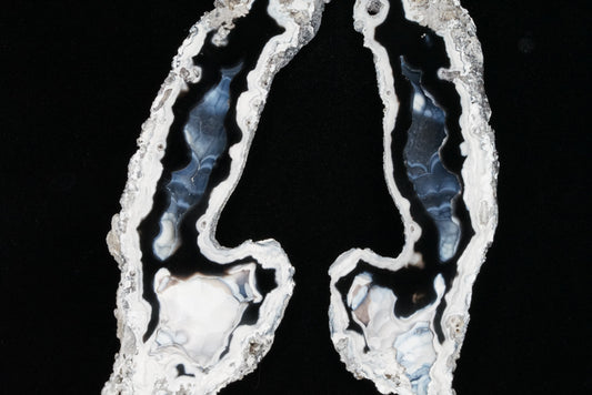 Polished Coral Geode/Fossil Pair
