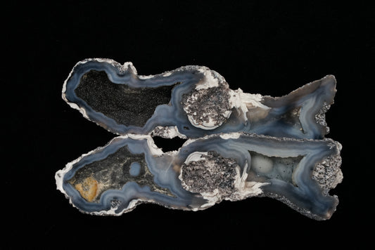 Polished Coral Geode/Fossil Pair with Crystals