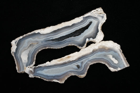 Polished Coral Geode/Fossil Pair with Crystals