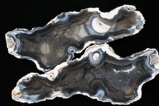 Polished Coral Geode/Fossil Pair with Crystals