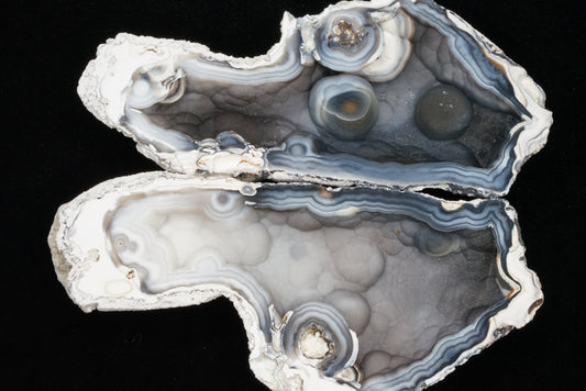 Polished Coral Geode/Fossil Pair with Crystals