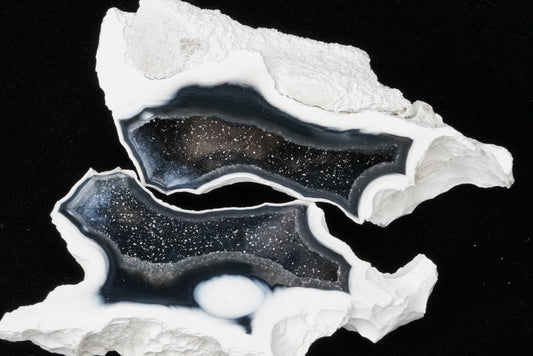 Polished Coral Geode/Fossil Pair with Crystals