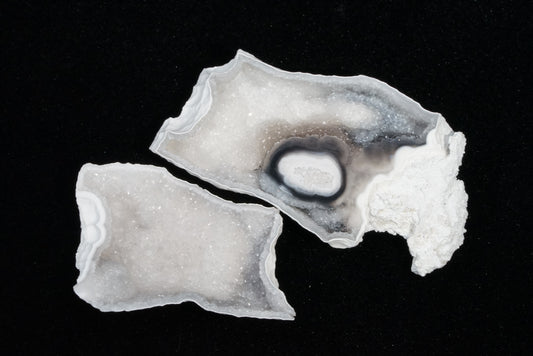 Polished Coral Geode/Fossil Pair with Crystals