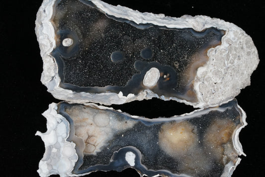 Polished Coral Geode/Fossil Pair with Crystals
