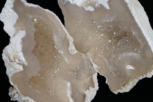 Polished Coral Geode/Fossil Pair with Crystals