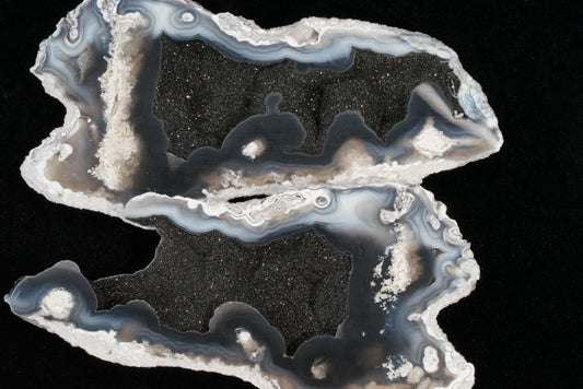 Polished Coral Geode/Fossil Pair with Crystals