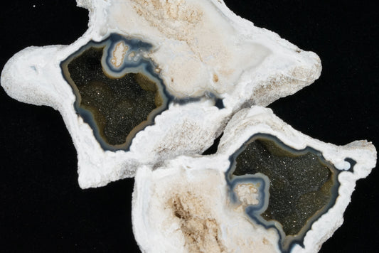 Polished Coral Geode/Fossil Pair with Crystals