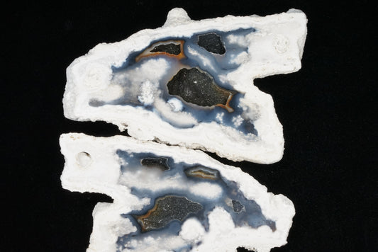 Polished Coral Geode/Fossil Pair with Crystals