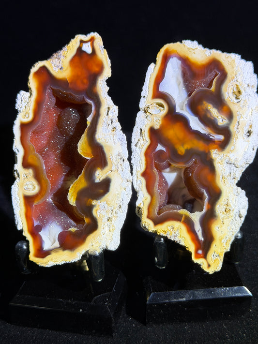 Polished Coral Geode Pair