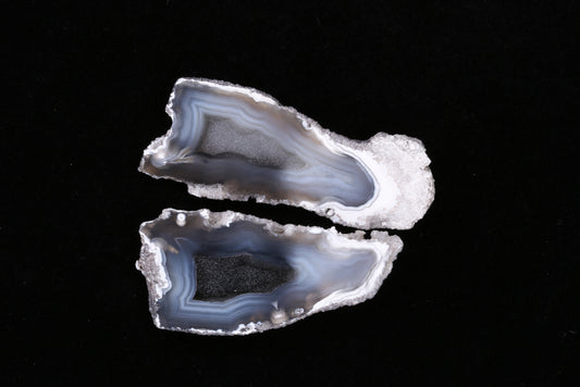 Polished Coral Geode/Fossil Pair with Crystals