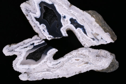 Polished Coral Geode/Fossil Pair with Crystals