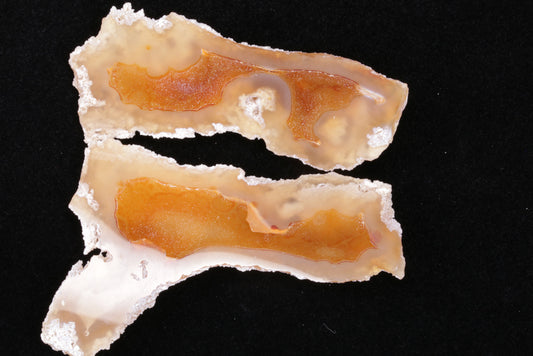 Polished Coral Geode/Fossil Pair with Crystals