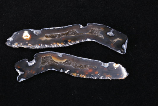 Polished Coral Geode/Fossil Pair with Crystals