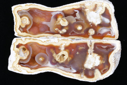 Polished Coral Geode/Fossil Pair with Crystals