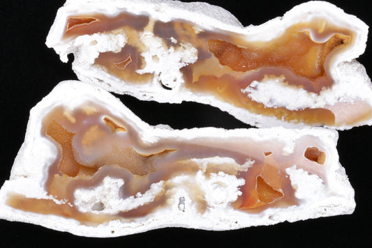 Polished Coral Geode/Fossil Pair with Crystals