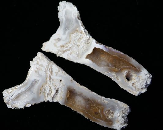 Polished Coral Geode/Fossil Pair with Crystals