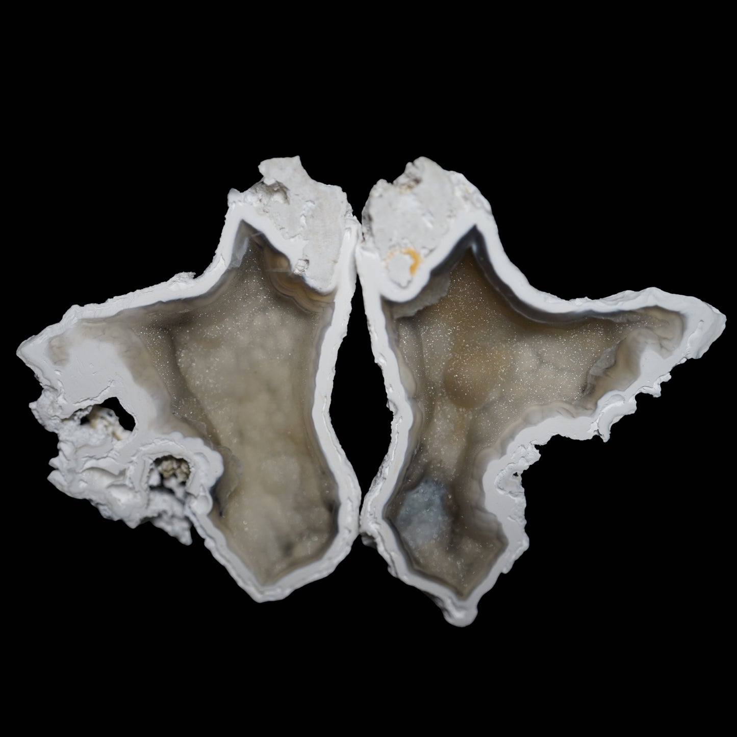 Polished Coral Geode/Fossil Pair with Crystals