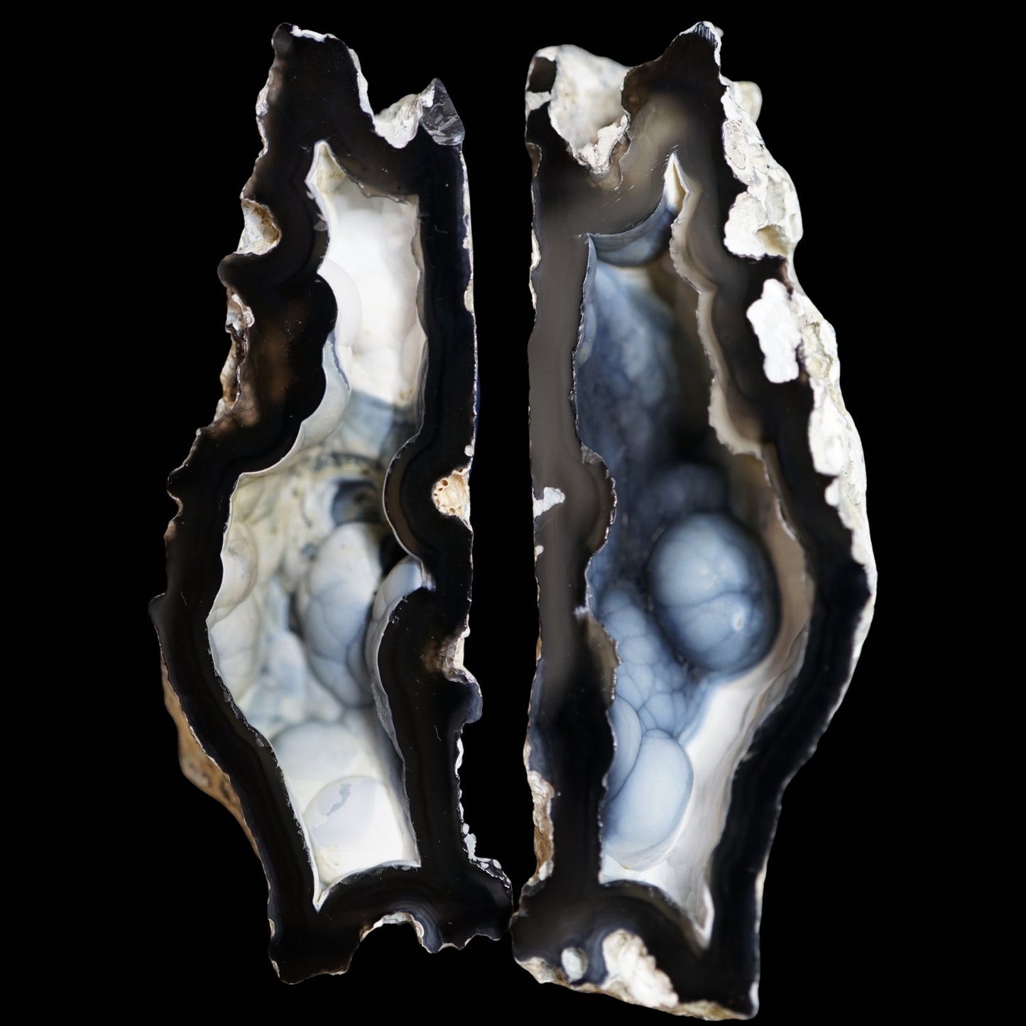 Polished Coral Geode/Fossil Pair