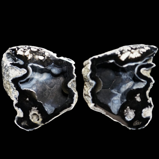 Polished Coral Geode/Fossil Pair