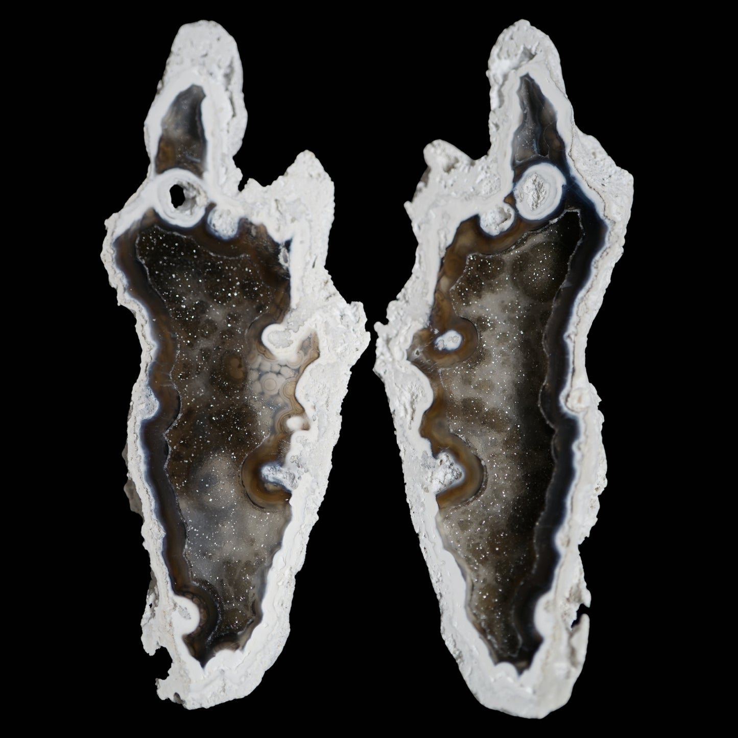 Polished Coral Geode/Fossil Pair with Crystals