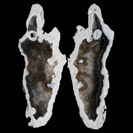 Polished Coral Geode/Fossil Pair with Crystals